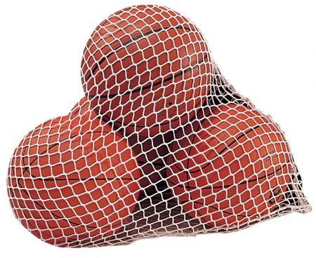 TACHIKARA MESH BALL BAG
