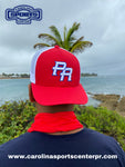 PUERTO RICO 3D 104 SNAP BACK